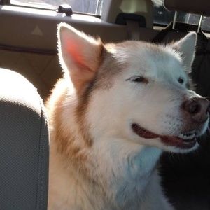 Meet your Posher, Marty